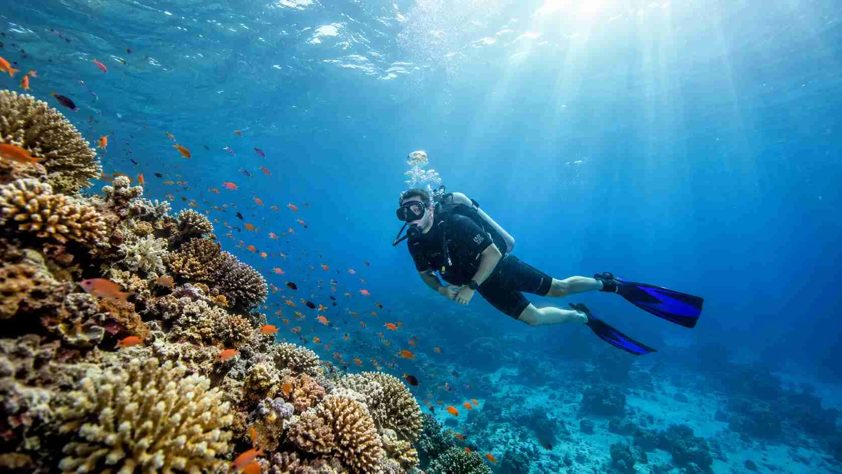 scuba diving captions for instagram